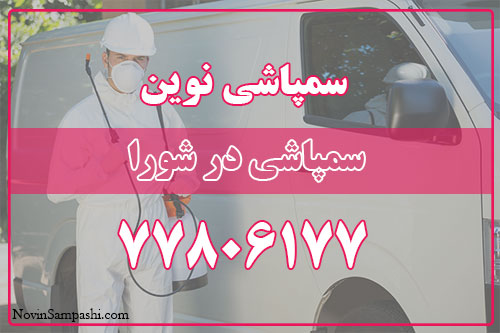 سمپاشی در شورا