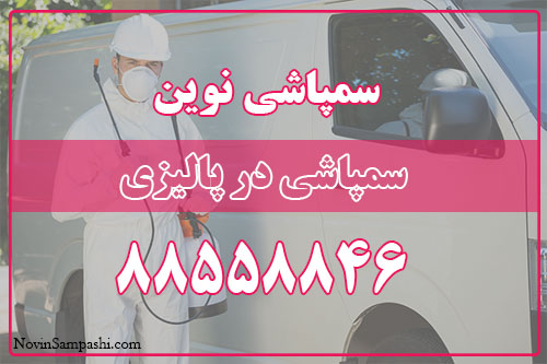 سمپاشی در پالیزی